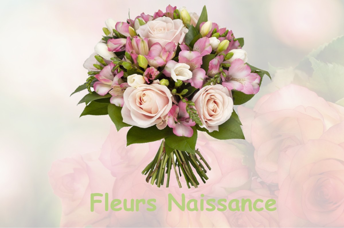 fleurs naissance FRESNES-TILLOLOY